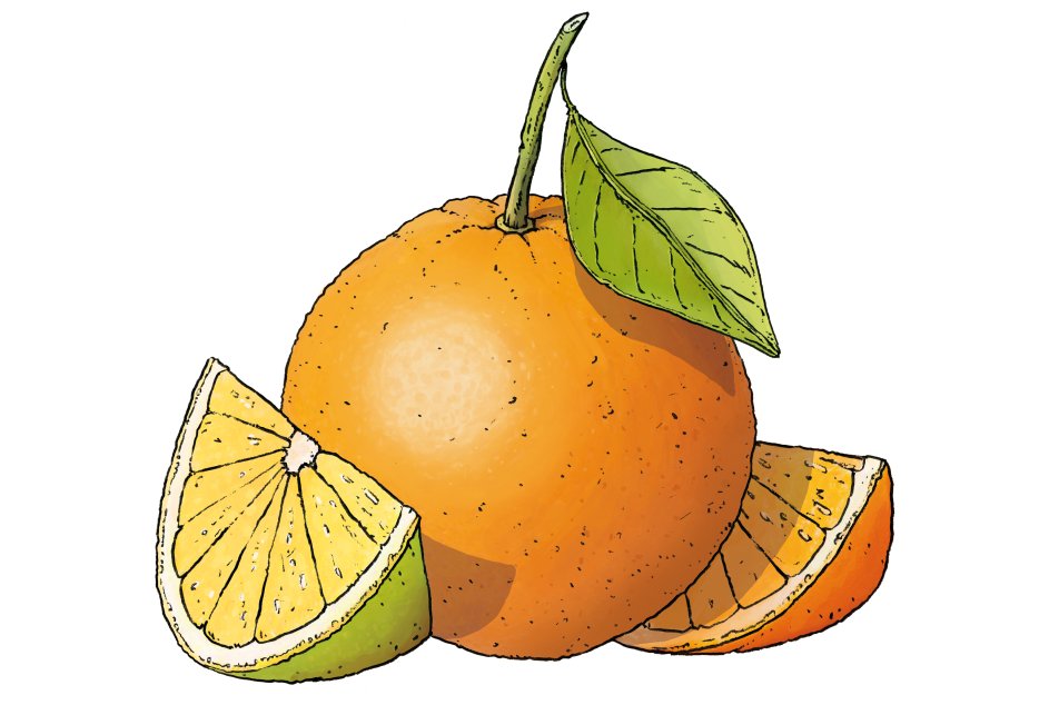 AmuseBouche_Orange